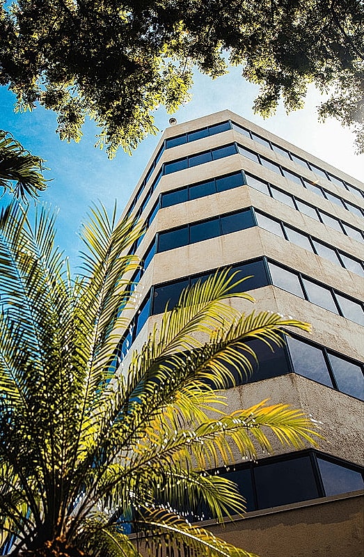 Modern building framed by palm leaves.