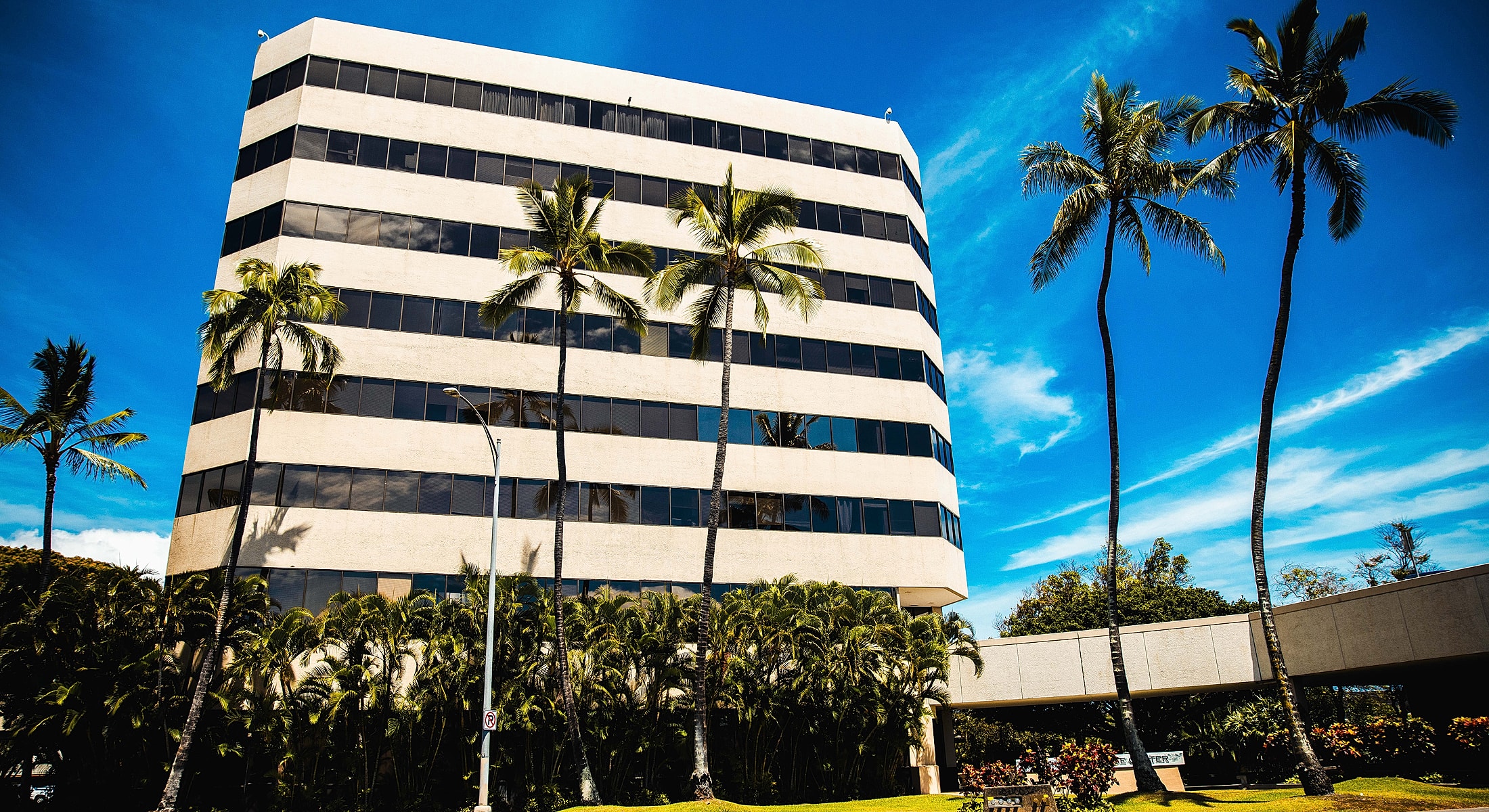 Modern building surrounded by palm trees and sky.